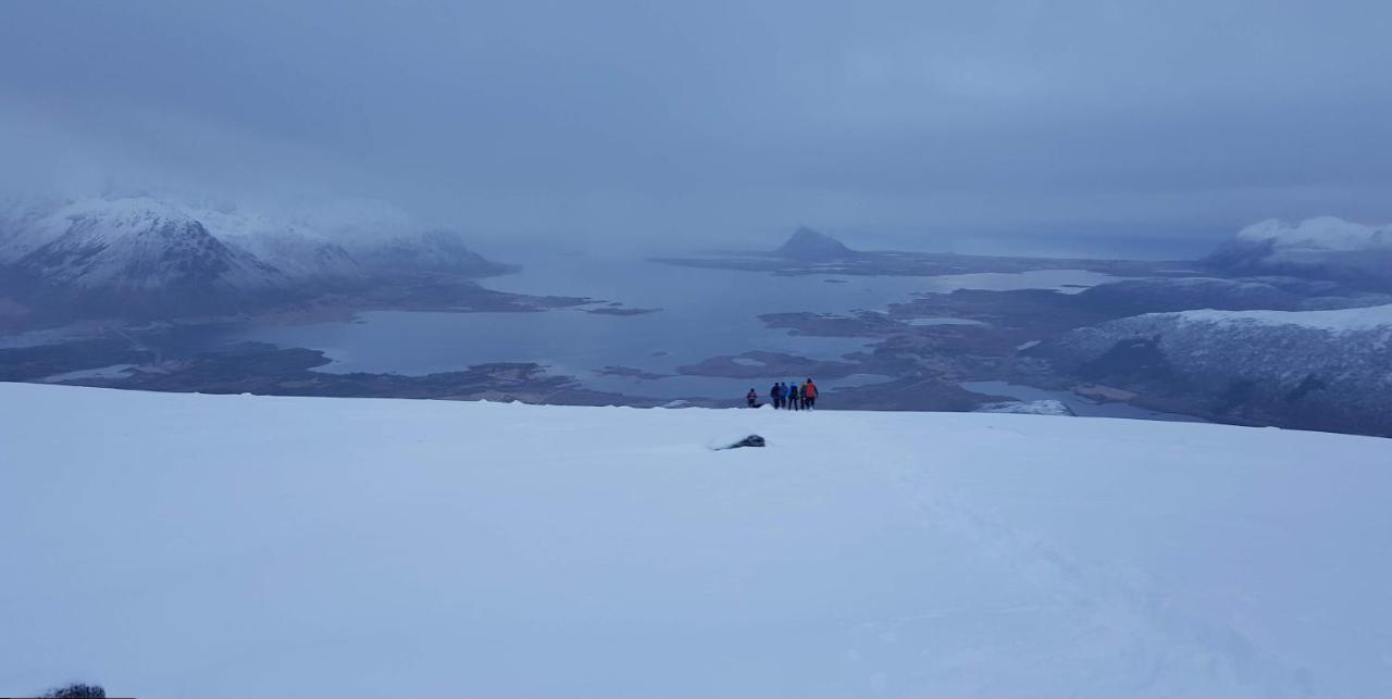 Villa Walter Lofoten With Sauna Kvalnes  Exteriör bild
