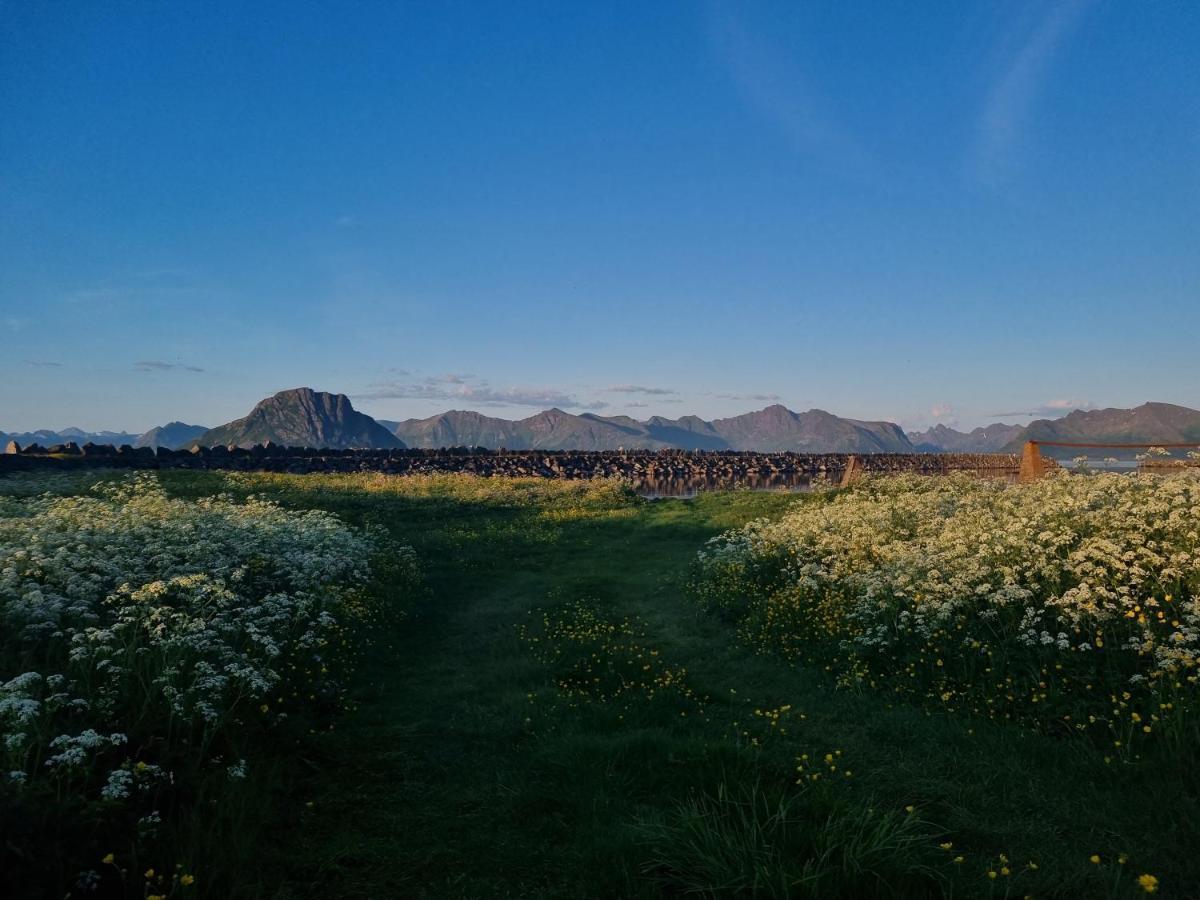 Villa Walter Lofoten With Sauna Kvalnes  Exteriör bild